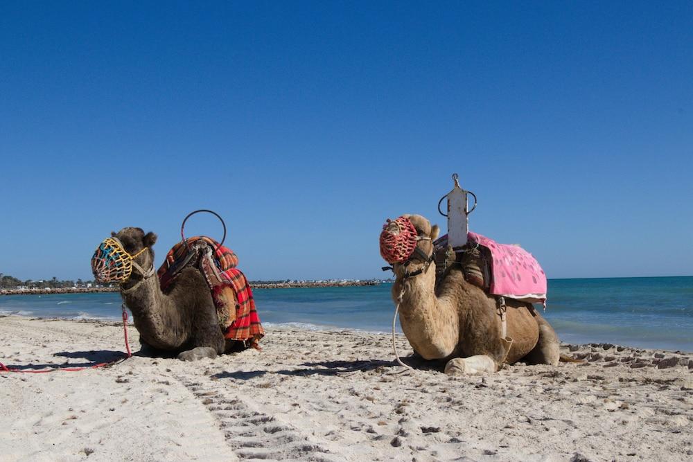 Hotel Seabel Aladin Djerba Aghīr Esterno foto